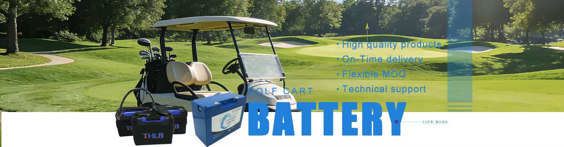 Quality Solar Street Light Lithium Battery factory