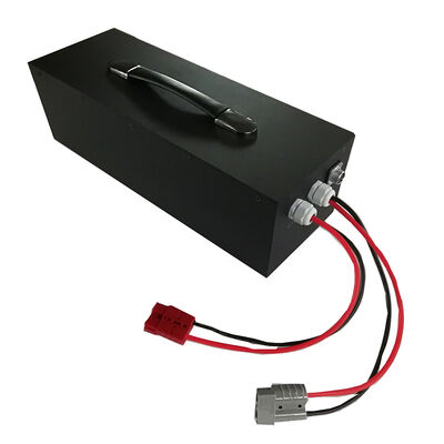 2000 Cycle AGV Lithium Battery OEM ODM Lithium Ion Forklift Battery